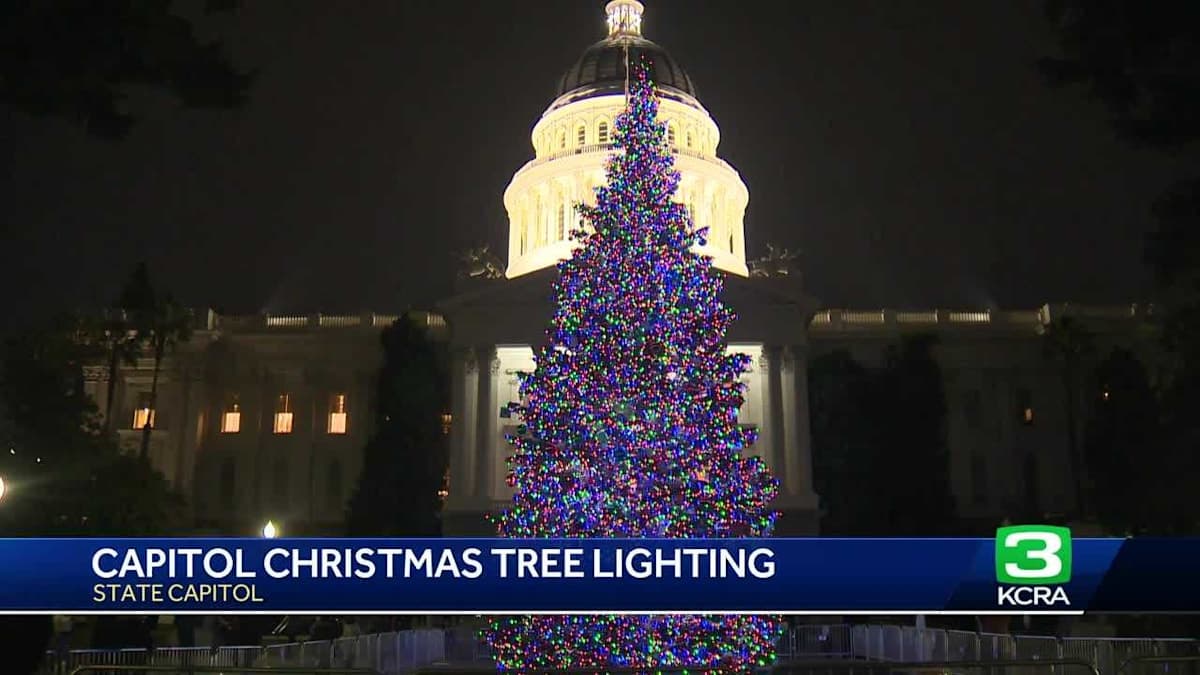 Twins Bring Holiday Spirit to Capitol After Devastating Loss