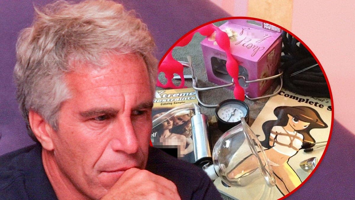 Inside Jeffrey Epstein's Bizarre Collection: What We Just Learned from House Democrats