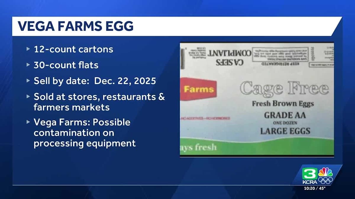 Sunny Side Down: Salmonella Scare Puts Dixon Eggs in Hot Water