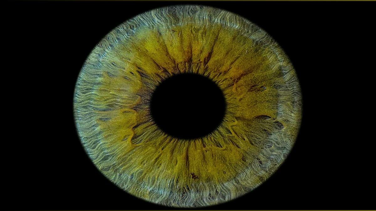 Forget Donor Lists: 3D-Printed Corneas Are Here to Restore Your Vision!