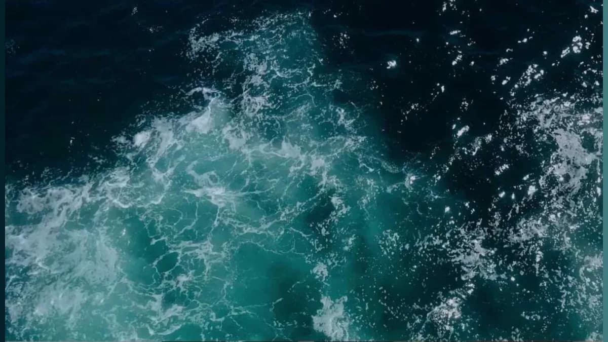 Turning Tides: How a New Desalination Plant is Making Water and Fuel from Seawater for Pennies!