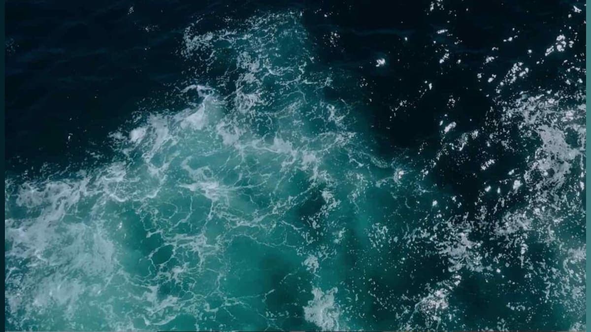 Turning Tides: How a New Desalination Plant is Making Water and Fuel from Seawater for Pennies!