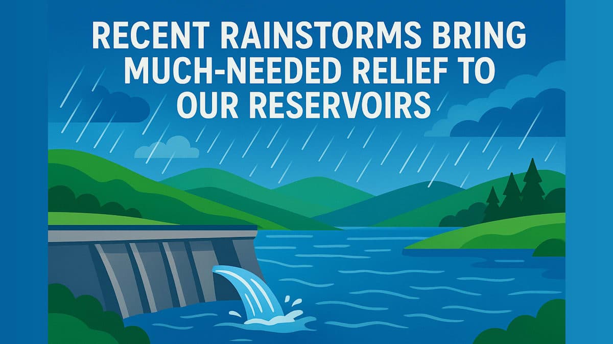 Recent Rainstorms Bring Much-Needed Relief to Our Reservoirs