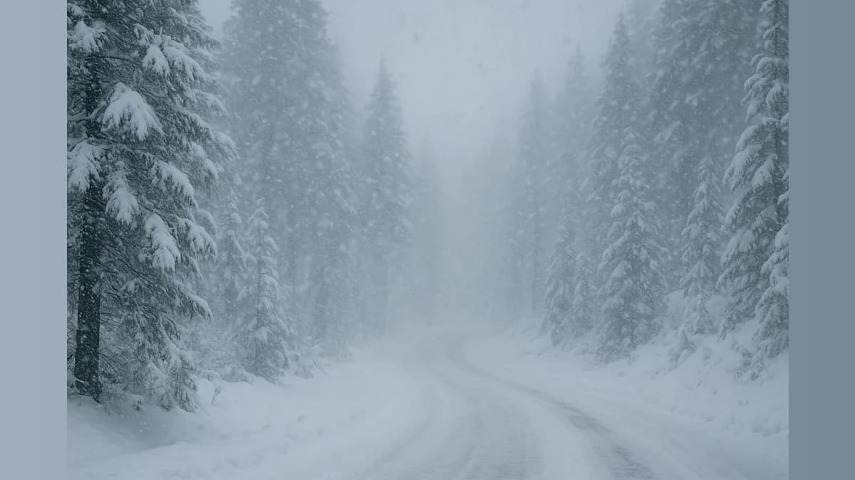 Sierra Snow Showdown: Is Your Travel Plan Ready for a Whirlwind?