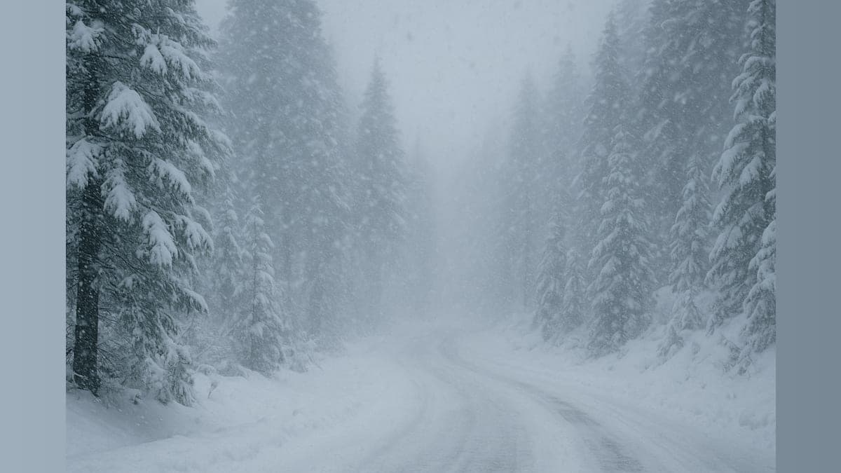 Sierra Snow Showdown: Is Your Travel Plan Ready for a Whirlwind?