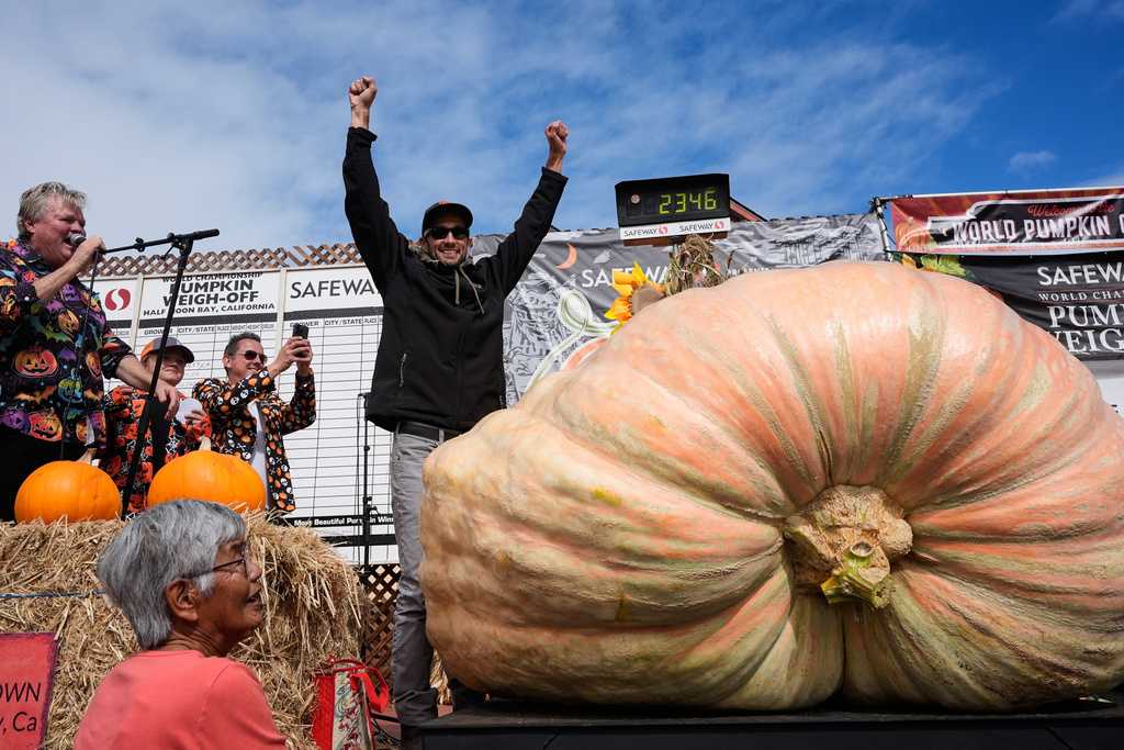 California Engineer Grows Pumpkin So Big, It Could Compete for a Car Insurance Policy!