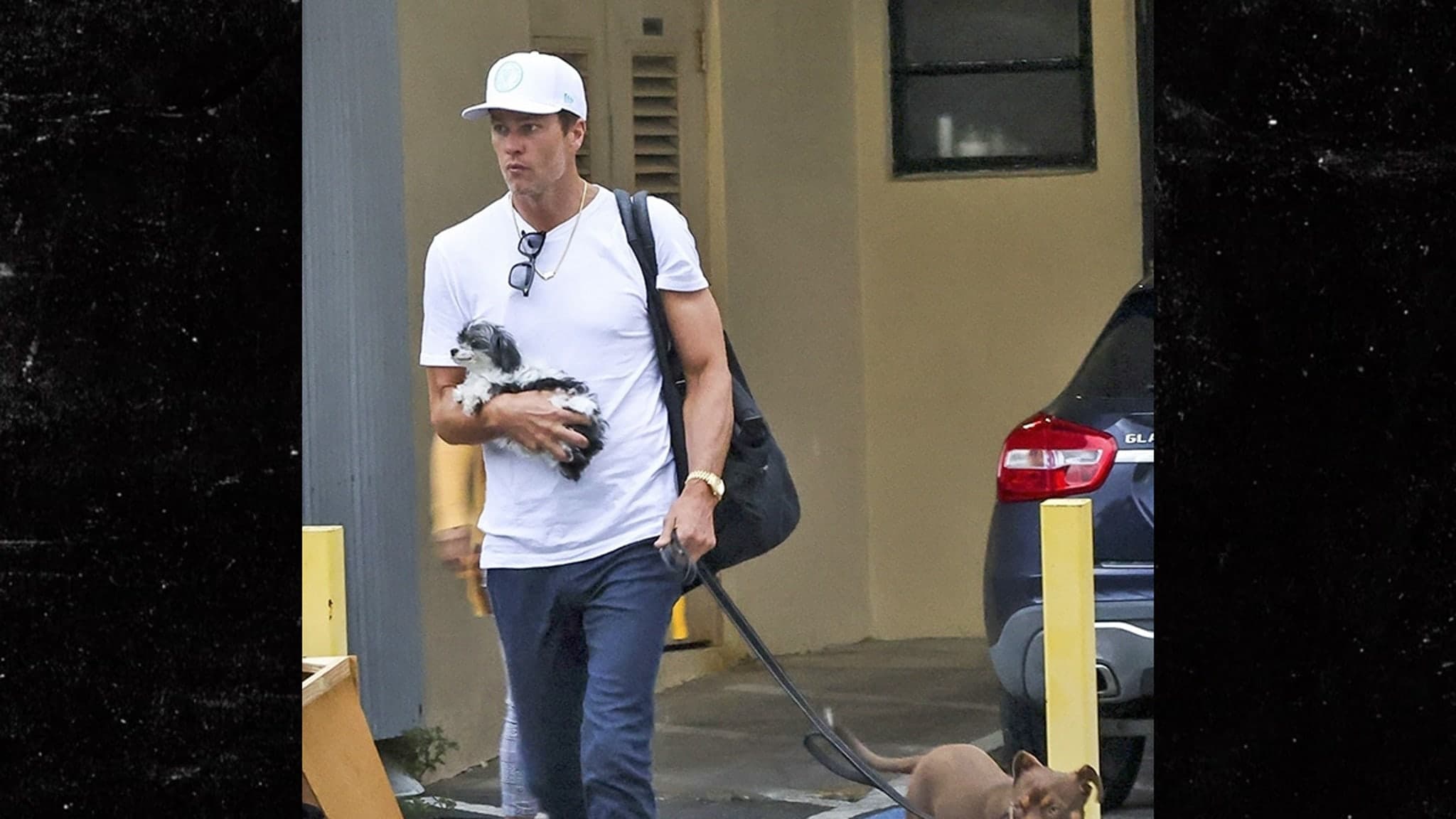 Tom Brady's Paws-itively Wild Adventure: The Truth Behind Cloning His Dog!