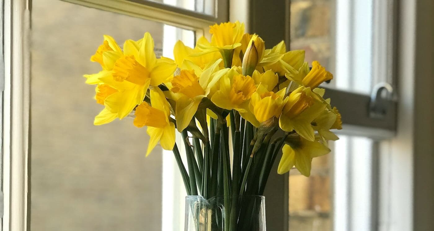 From Bouquets to Blooming Tributes: A Heartfelt Gift Grows into a Community Memorial