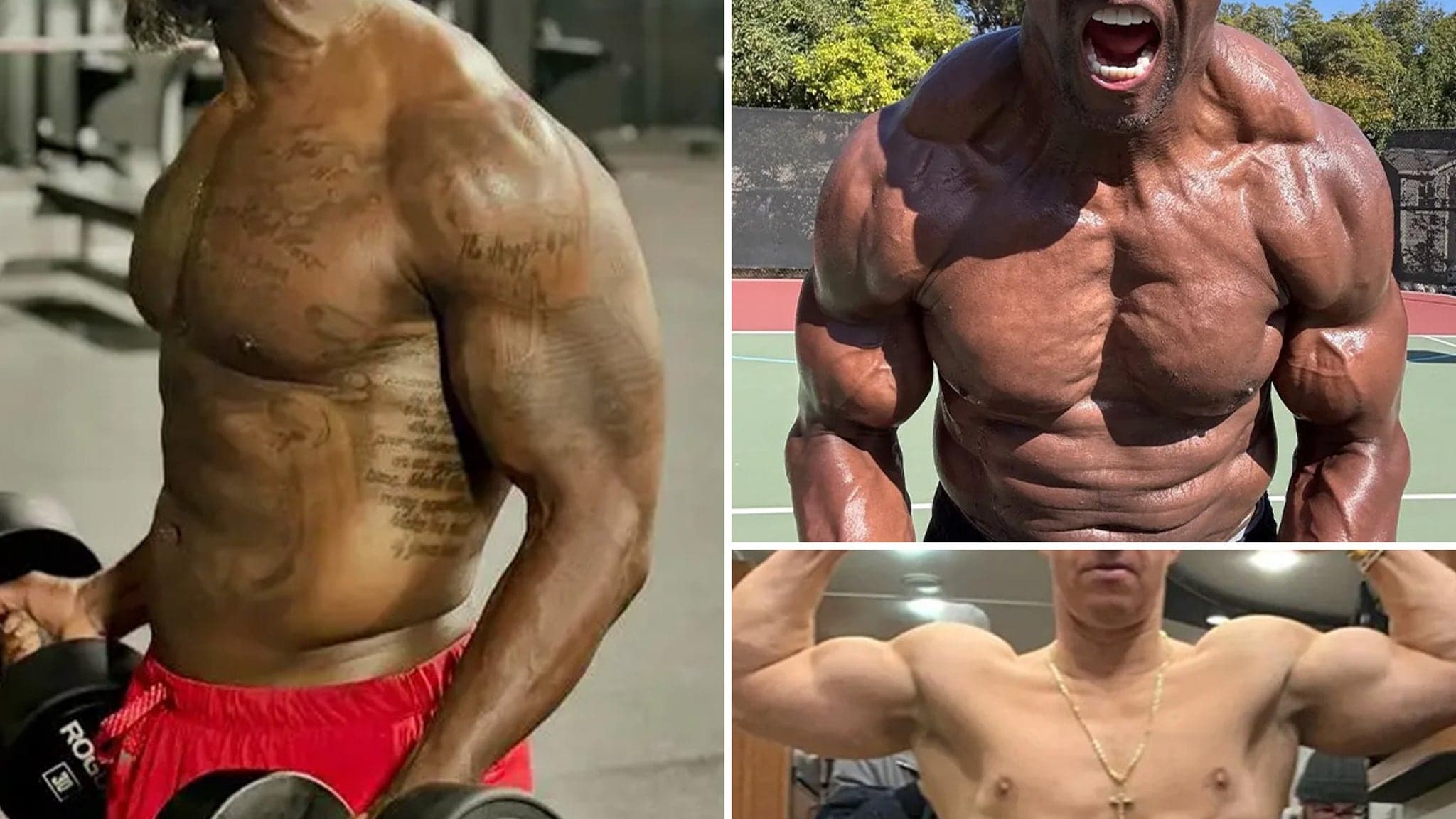 Flexing Through the Holidays: See Which Celebs Are Pumping Iron This Season!