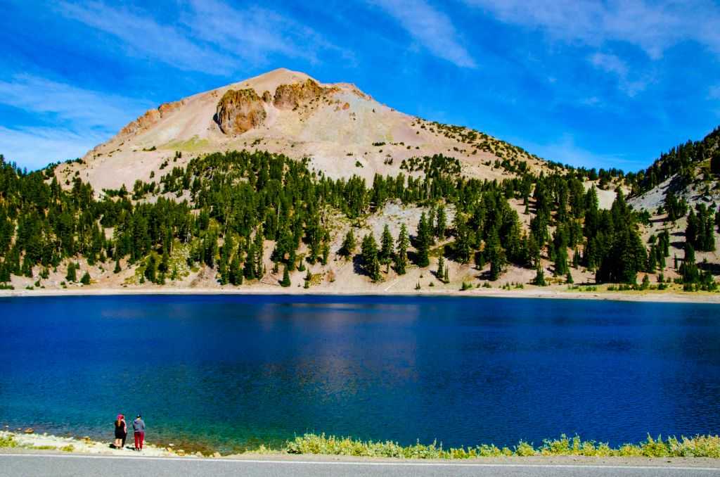 Meet the Fire Amoeba: The Tiny Organism Thriving in Scorching Hot Springs!